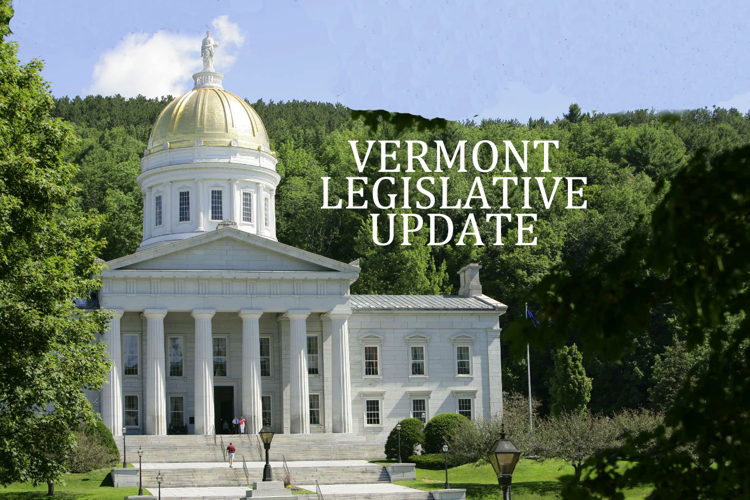 2020 Vermont Legislative Preview DRM